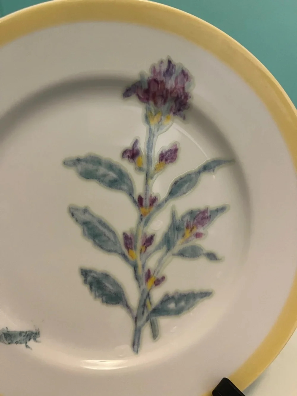 Williams Sonoma Yellow-Rim Flowering Herb Salad Plate 8 14/“